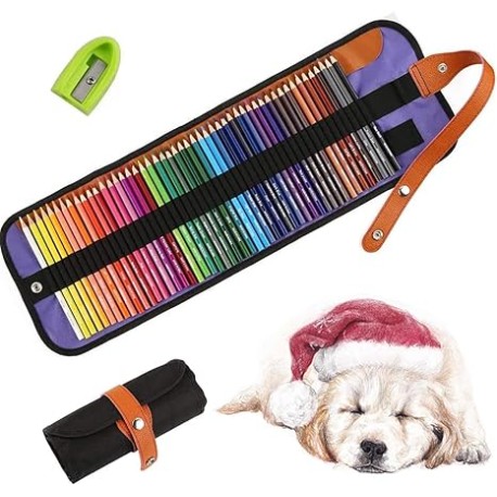 Kit De Dibujo 50 Pcs,Salandens Lapices De Colores Profesionales,Colores lapiz de dibujo de Boceto y Dibujo de Arte kit.